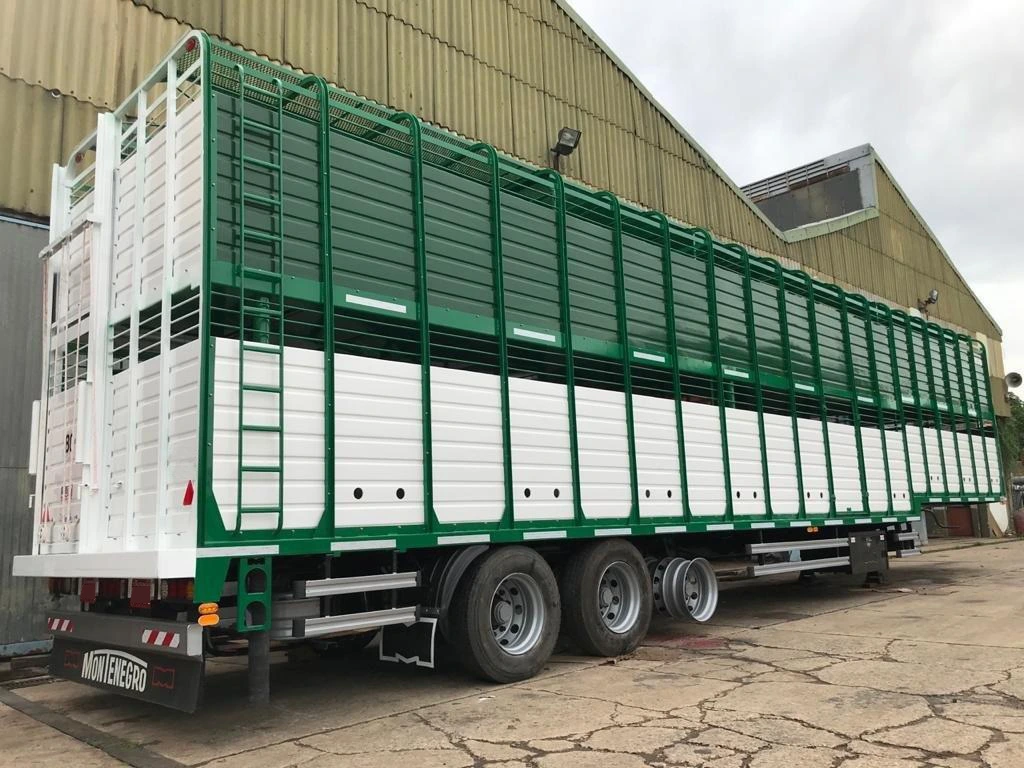 Batea Escalable Montenegro